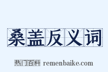 桑盖反义词是什么意思的图片